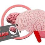 GIANTmicrobes Brain Plush