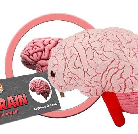 GIANTmicrobes Brain Plush