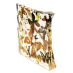 Real Butterflies and Moths in Acrylic Display – Set of 15