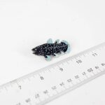 Coelacanth Enamel Pin (Coelacanthiformes)