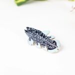 Coelacanth Enamel Pin (Coelacanthiformes)