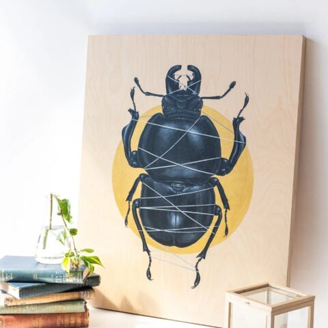 Colophon Whitei Scientific Art Print
