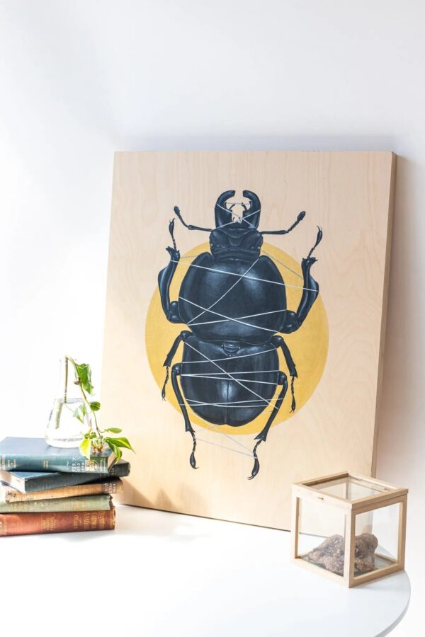 Colophon Whitei Scientific Art Print