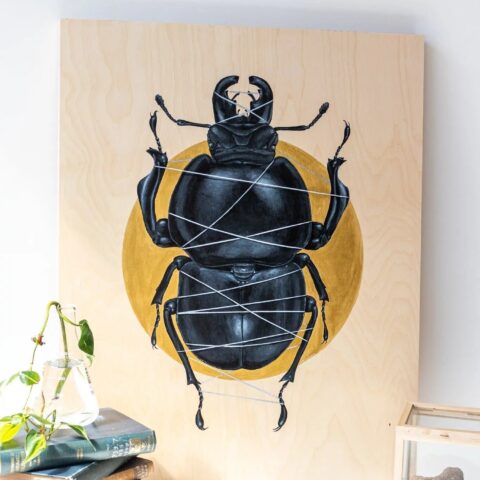 Colophon Whitei Scientific Art Print