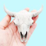 American Bison Skull Replica – 1:6 Scale