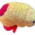 GIANTmicrobes Deluxe Anxiety Plush
