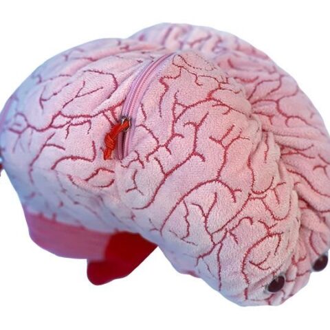 Giant Microbes Deluxe Brain with Mini Cells