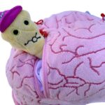 Giant Microbes Deluxe Brain with Mini Cells