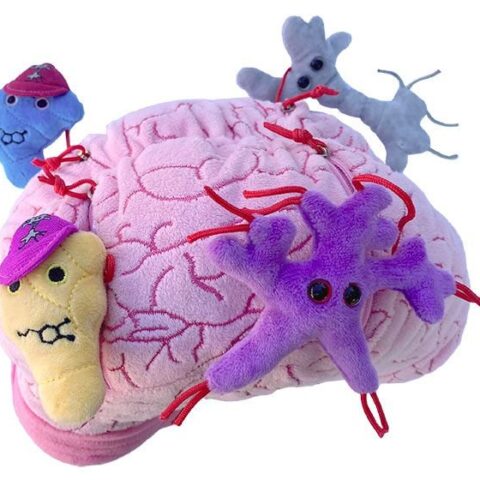 Giant Microbes Deluxe Brain with Mini Cells