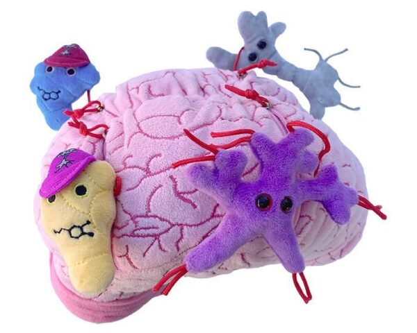 Giant Microbes Deluxe Brain with Mini Cells