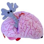 Giant Microbes Deluxe Brain with Mini Cells