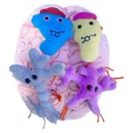 Giant Microbes Deluxe Brain with Mini Cells
