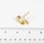 Dilong Enamel Pin (Dilong paradoxus)