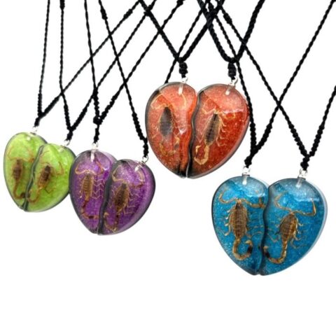 Real Scorpion Friendship Necklace