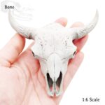 American Bison Skull Replica – 1:6 Scale