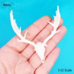 Fallow Deer Skull Replica – 1:12 Scale