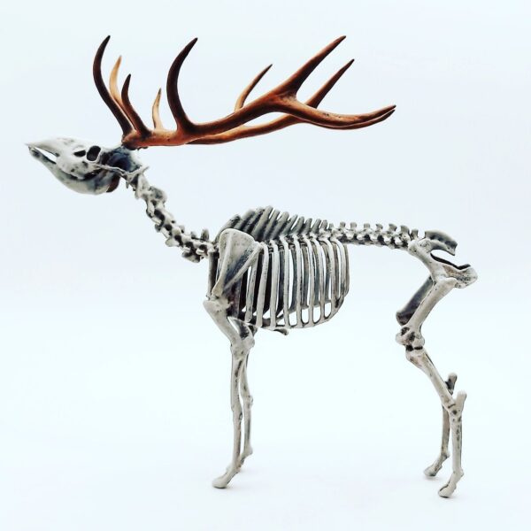 Red Deer Skeleton Replica – 1:18 Scale