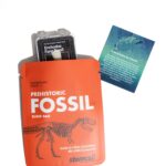 Fossil Specimen Blind Bag