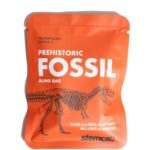 Fossil Specimen Blind Bag