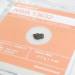 Early Solar System Meteorite Fragment – NWA 13632