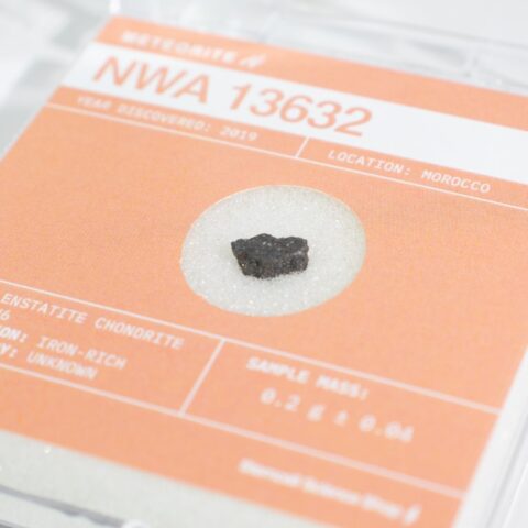Early Solar System Meteorite Fragment - NWA 13632