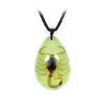 Real Golden Scorpion in Acrylic Teardrop Necklace