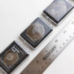 Goniatite Fossil