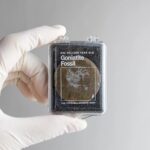 Goniatite Fossil