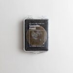 Goniatite Fossil