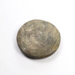 Goniatite Fossil