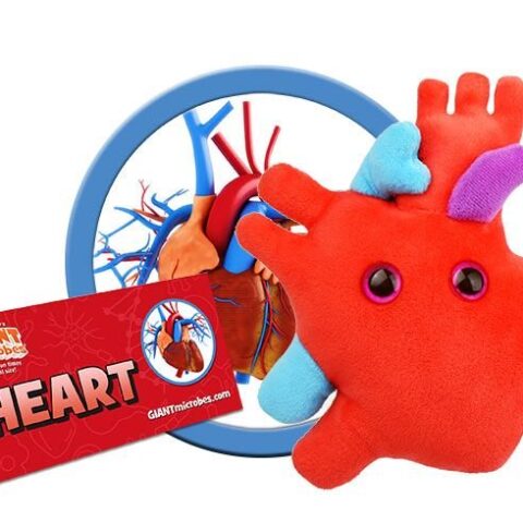 GIANTmicrobes Heart Plush