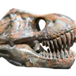Carved Gemstone T-Rex Skull