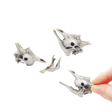 Giraffe Skull Replica - 1:12 Scale