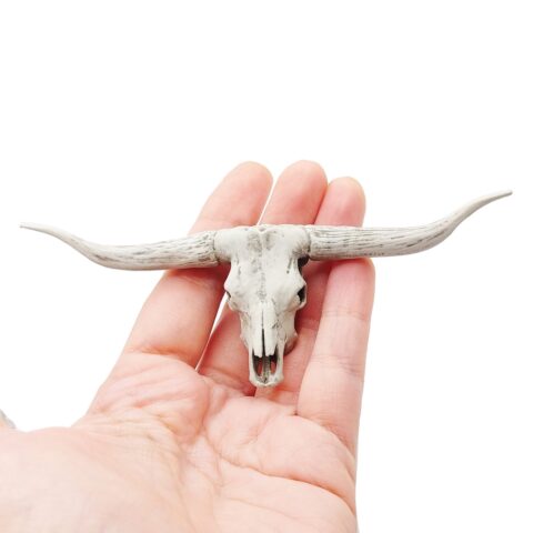 Texas Longhorn Steer Skull Replica - 1:12 Scale