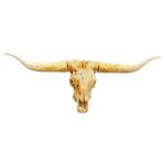 Texas Longhorn Steer Skull Replica – 1:12 Scale