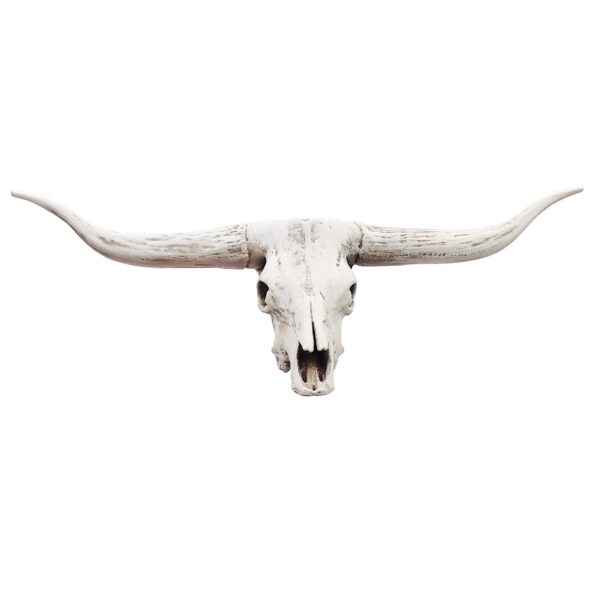 Texas Longhorn Steer Skull Replica – 1:12 Scale