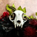 Cat Skull Replica – 1:1 Scale