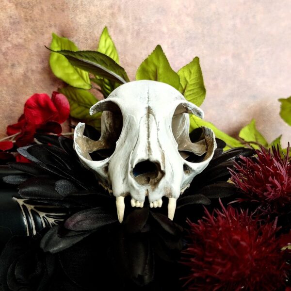 Cat Skull Replica – 1:1 Scale