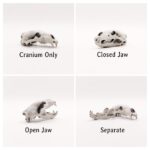 Polar Bear Skull Replica