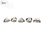 Cuban Tree Frog Skull Replica – 1:6 Scale (Set of 5)