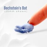 Bechstein’s Bat Skull Replica – Open Jaw – 1:1 Scale