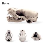 Northern Bat Skull Replica – Open Jaw – 1:1 Scale