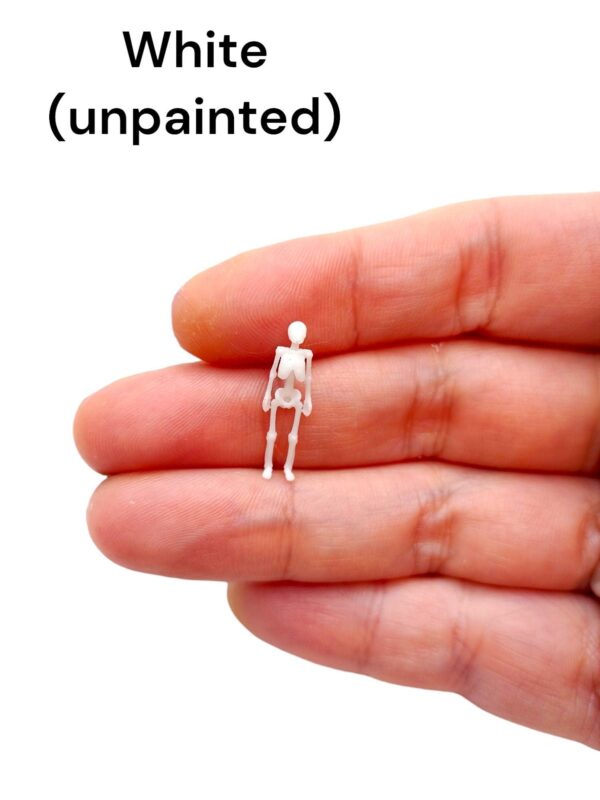 Human Skeleton Replica – HO Scale (1:87)