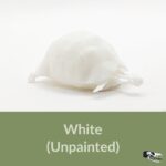 Tortoise Skeleton Replica – 1:12 Scale