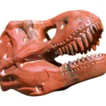 Carved Gemstone T-Rex Skull
