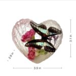 Real Butterfly in Acrylic Heart