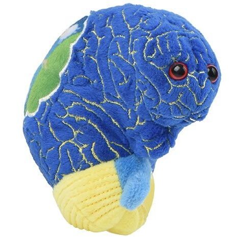 GIANTmicrobes Insomnia Plush