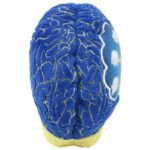 GIANTmicrobes Insomnia Plush