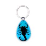 Real Black Scorpion in Acrylic Keychain