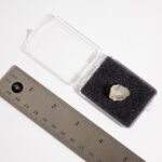 Libyan Desert Glass Specimen
